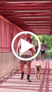 BIB:  <button type="button" onclick="openModal(27240053)" class="btn btn-primary btn-sm float-right" data-toggle="modal" data-target=".modal-high-quality">
                <i class="fa fa-download"></i> Download
                </button>